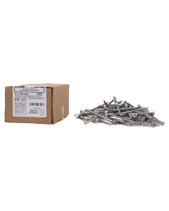 Vlonderschroef 5.0 x 70 TX25 AISI 410 RVS (100 st.)